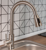 Смеситель д/кухни шар. с вытяжной 2-х реж.аэратор, сатин, нерж.сталь Источник GOTA ROCIO