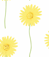 Шторка д/ванной 180*200см 100% полиэстер эконом 1171