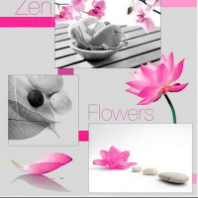 Шторка д/ванной 180*200см фотопринт Zalel Z-004 Шторка д/ванной 180*200см фотопринт Zalel Z-004