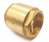 Клапан обратный c пластиковым сердечником 1 г/г RTP