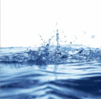 Шторка д/ванной 180*200см фотопринт с кольцами DX-108 Шторка д/ванной 180*200см фотопринт с кольцами DX-108